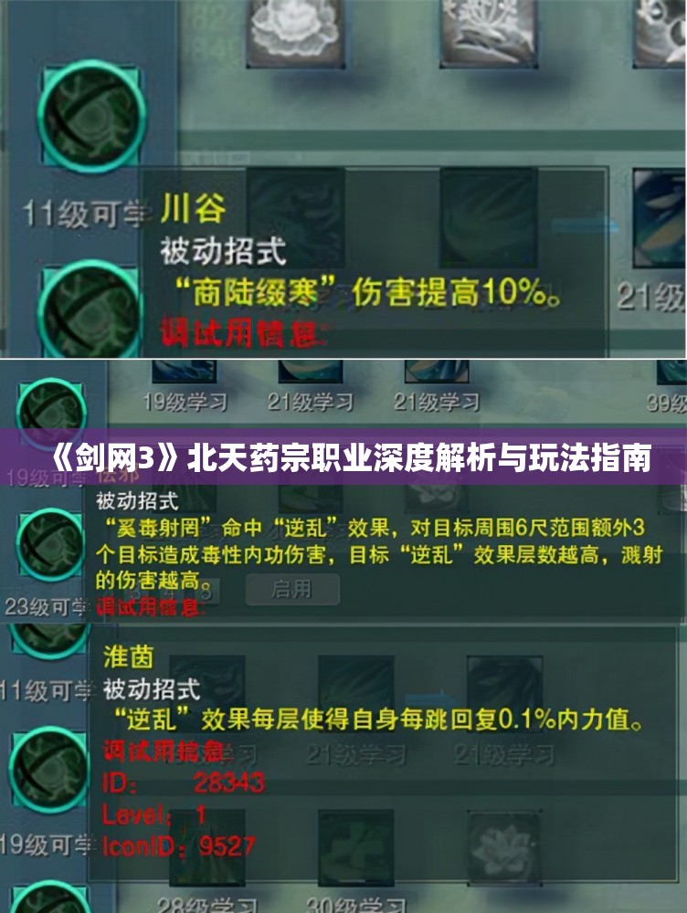 《剑网3》北天药宗职业深度解析与玩法指南