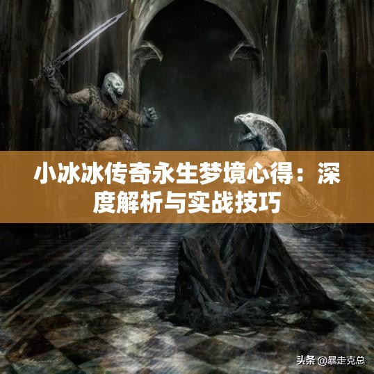 小冰冰传奇永生梦境心得：深度解析与实战技巧