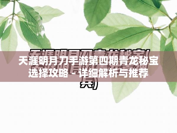 天涯明月刀手游第四期青龙秘宝选择攻略 - 详细解析与推荐